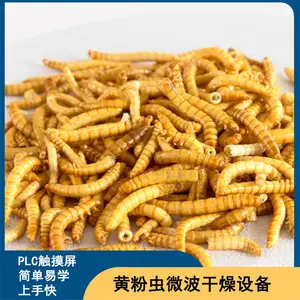 磊沐微波活体虫子干燥膨化设备 全自动 黄粉虫灭活设备