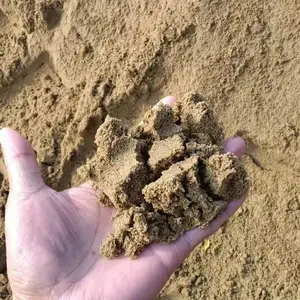 普陀区干净黄沙供应 来电咨询 上海万初建筑工程供应