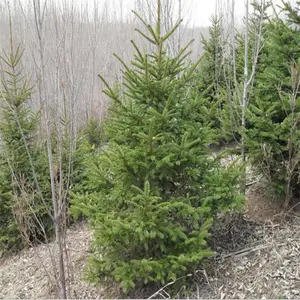 ��ɼ���ع�Ӧ-1��2����ɼ 2.5����ɼ��3����ɼ 3.5�� 4����ɼ 5��6����ɼ