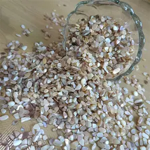 贝壳片 美甲饰品 内墙装饰 地坪骨料 鱼缸造景用贝壳沙