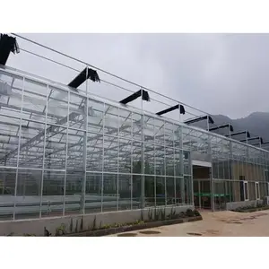 ����������ֲ���� ���ܴ�����۳��� ���ۼ�� ³��