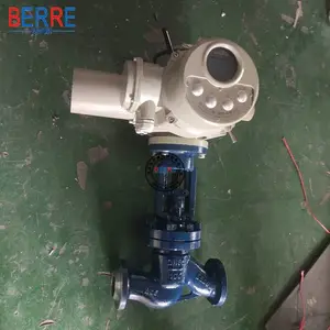 J941Y-64 WCB���ʵ綯Ӳ�ܷ��ֹ��