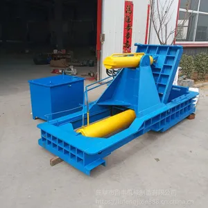 ������ֽƤ�������ʽҺѹ��������Ҷ���Ǯ