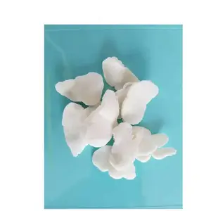 广州减价促销 山西长寿牌氯丁橡胶CR244系列