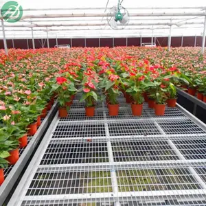 使用花卉苗床养花技巧 移动苗床***的农业设备质优价廉