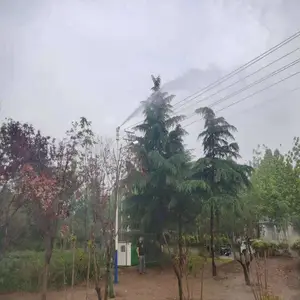 Ϋ�����е�·�����豸 �̻�վ�߿�����׮����