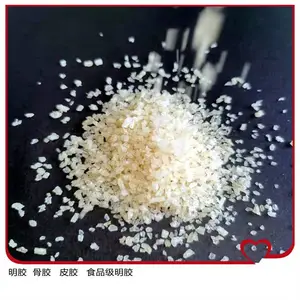 白明胶 明胶海绵 生产食品明胶120冻力