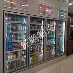 新型环保产品低温冷藏双层玻璃保温后补式冷库
