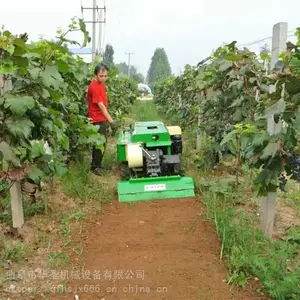 �Ĵ���԰������ ���������԰������ ����ʽ������