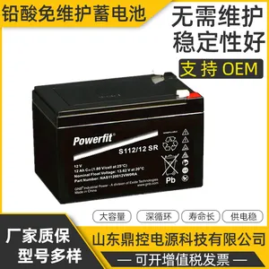 ����GNB����S312/24Ǧ����ά��Powerfit�����ܱ�ʽ12V24AH����UPS����ϵ�Դ������װ����ά��Ѳ��