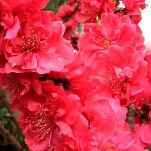 �����һ��������辰�������һ�������һ���ҪƷ��������������