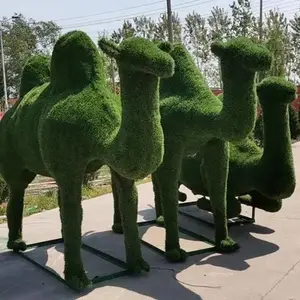 �̵� �������н��� �����Χ���� ���廨̳ ��ɫ������ ���趨��