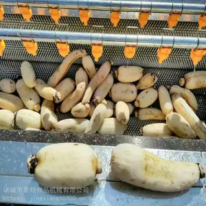 ��������ͷ��ϴ�� ��ͷë����ϴ�� �ع�ȥƤ��ϴ��ͼƬ