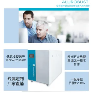 低氮锅炉 全预混冷凝低氮硅铸铝燃气热水锅炉 商用工业型大功率电锅炉 落地式变频电锅