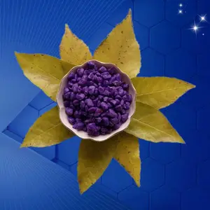 �����������Сʯ�� ���װ�β�ɫʯ�� ��ͯɳ���ò�ɫСʯ�� ��ɫ��ʯ��