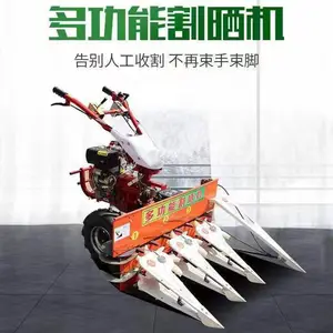 С���ǰ���ո�� ���ݲ����ո�� ���Ӱ�Ƥ���