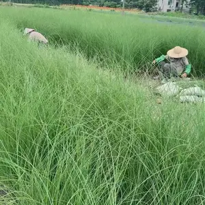 ����â���� ����â������ ����â2������ֲ ����â����