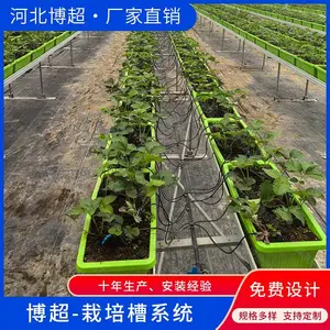 博超无土栽培草莓种植支架 支架式栽培槽厂家