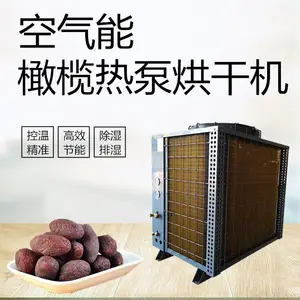 橄榄烘干机 果干烘干设备厂家 热风循环烘箱
