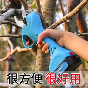 �綯�������� ���ߵ綯���� ��Яʽƻ�����޼���
