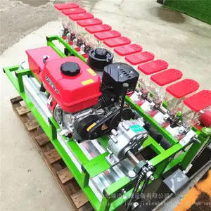 �����ִ�����ֲ������ ���Ҵ��ﵥ�����ֲ��������ֲ��