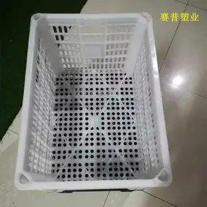 ����������ת�𶹸ɿ���ȿ��¿�����