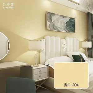 孙师傅内墙装饰材料硅藻泥 新型墙面装饰材料 绿色环保