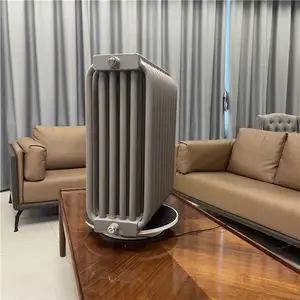 �ʲ����ٻ�ѧ���³�����Ӻ�����ʽ ��������ɢ��Ƭ ZC-VI-1000