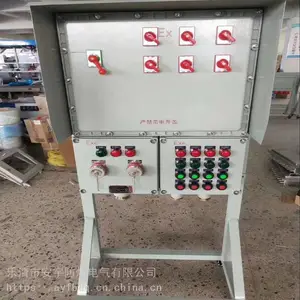 防爆照明配电箱BMX51-6/K16A 正泰元件DZ47型 IP54