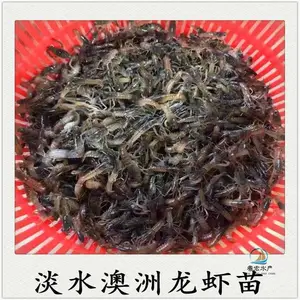 ��ˮ��Ϻ ��ˮ��ֳ�߽�Ϻ ����Ϻ��߲���