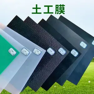 土工膜工程柱点防水板光面糙面PE防渗膜鱼池水利黑建设隧道防水板防渗膜