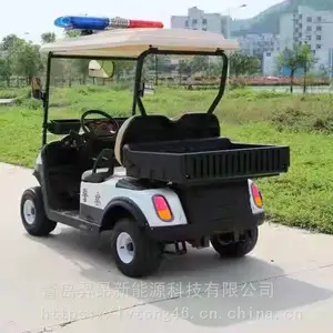 山东绿通高尔夫球车 电动观光车 电动高尔夫观光车