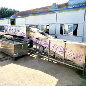 瑞宝 XJ-6000型连续式 洗姜机 高压喷淋洗姜机