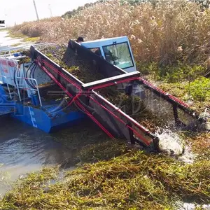 青岛水浒苔打捞船 浮萍清理船