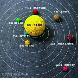 3D打印定制蛋白,烟草花叶,寨卡,乙肝,脊髓灰质炎病毒模型