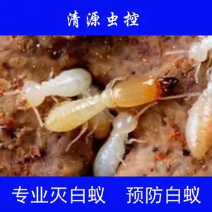 ����Դ���Ϲ�˾��ʾ��ľ�ذ���η����ϣ�Ԥ����ʩ�����