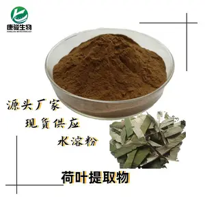 荷叶提取物 6:1比例提取物 80目 精细粉末