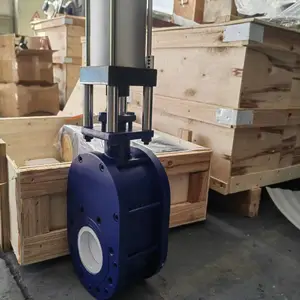 Z674TC-10C DN150�����Լ�ʽ�մ�˫բ��������