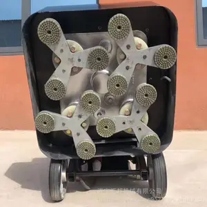 12ͷ�̻��׹�� ������ƺ�׹��ͼƬ ����***�׹��