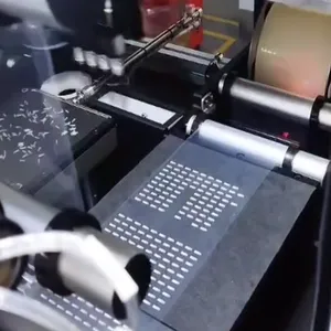 V型槽阵列散料排列覆膜包装设备 视觉柔性摆盘机 V槽阵列自动排列贴膜设备