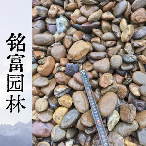2026年是个很难受的一年，今年靠鹅卵石养家，80元一吨的鹅卵石