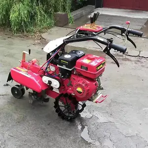 �������ǿ������۸� ��ֲ��ݮ������¢�� �๦�ܳ���������
