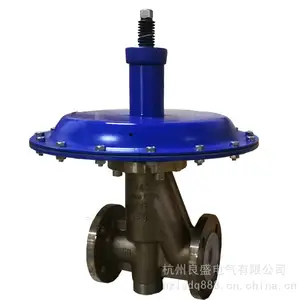 ZZYVPF-16B�ķ����ⷧ