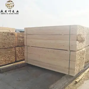��������ľ������ľ��