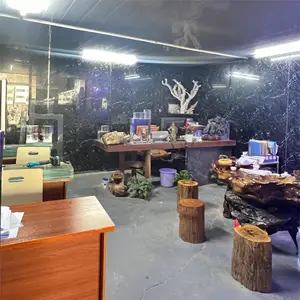 广州市洋清水族科技有限公司