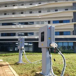 ���ˣ���ţ 40KW ��ǹƾ˫֧����������ݳ��������