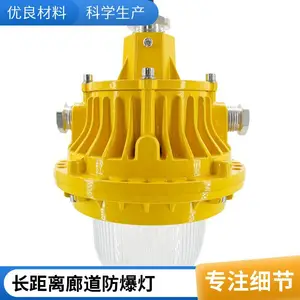 化工厂防爆照明灯50W led防爆平台灯防爆投光灯安全节能