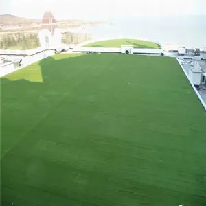 �����̻��� �˶��ܵ��̵ز�ƺ�� Χ����Ƥ