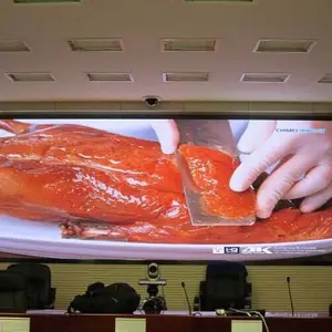 室内常规显示屏