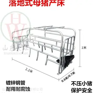 厂家直销母猪定位栏母猪产床产仔产崽产床带电热板